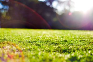 Navigating Compliance: The Essence of Heavy Metals Testing in CBD Products