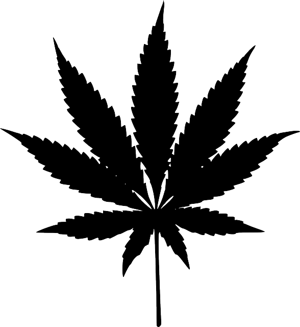 Hemp Terpenes for Sale