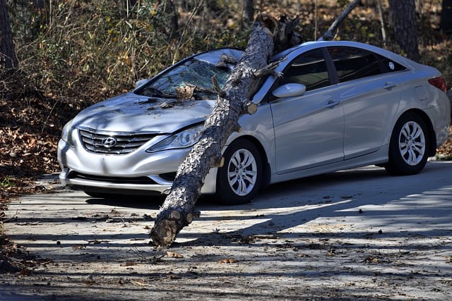 How to Lower Your Auto Insurance Premium
