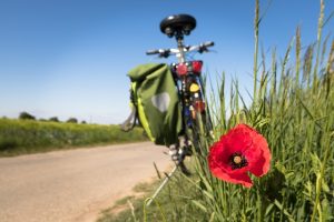 Navigating Individual Health Coverage: Local Options & Personalized Plans