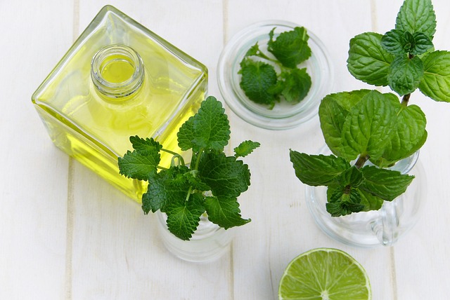 Mint Flavored CBD Tincture