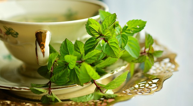 Mint Flavored CBD Tincture