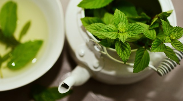 Mint Flavored CBD Tincture