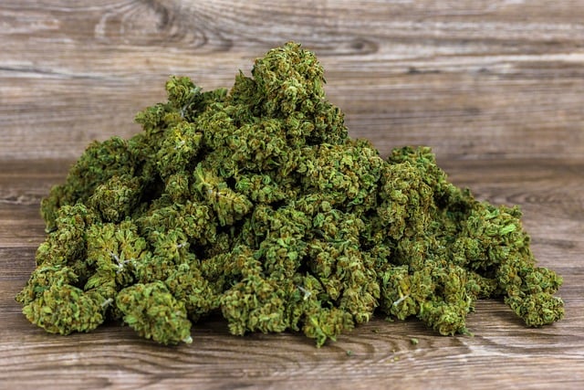 Mint Flavored CBD Tincture