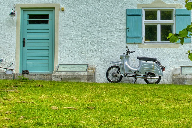 mopeds for sale
