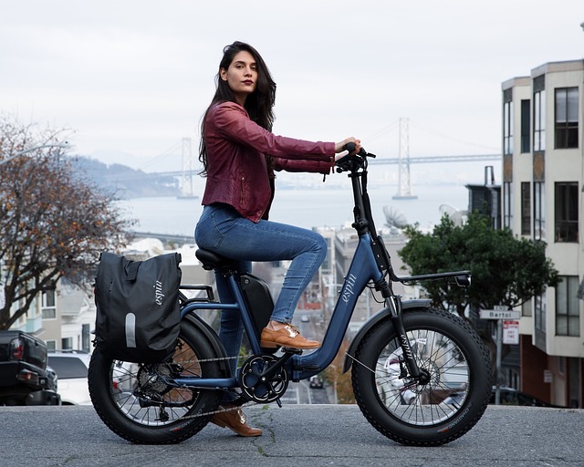 OneWheel electric board
