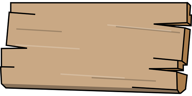 OneWheel electric board