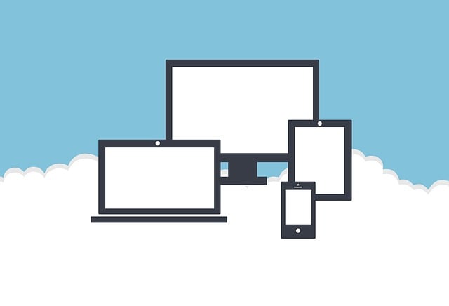 online pet marketplace