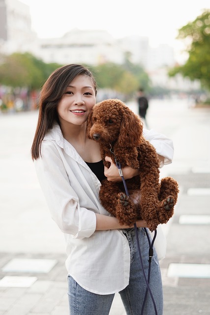 online pet marketplace