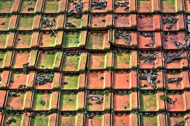 Roof Replacement Services