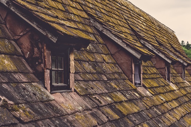 shingle roof repair