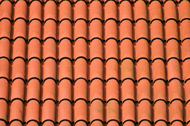 shingle roof repair