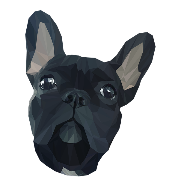 tactical dog harness