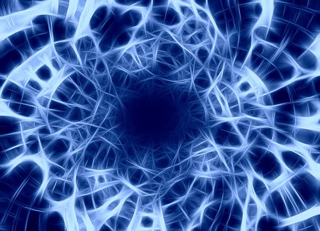 Understanding the Endocannabinoid System