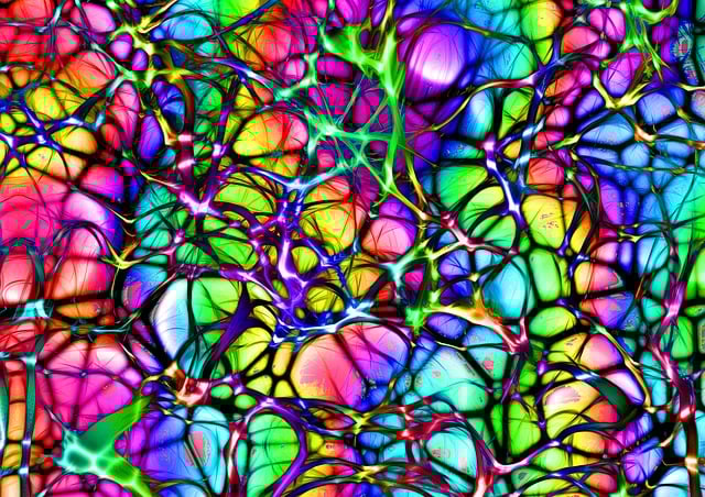 Understanding the Endocannabinoid System