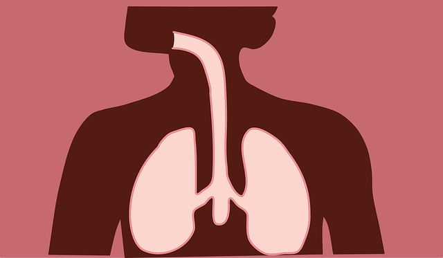 Understanding the Endocannabinoid System