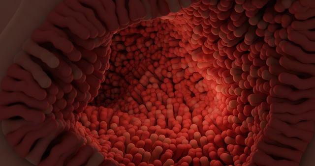 Understanding the Endocannabinoid System
