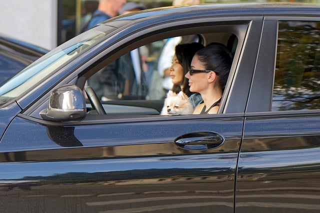 Affordable Car Insurance for New Drivers