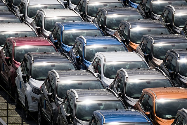 Affordable Car Insurance for New Drivers