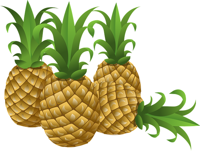Best CBD Edibles