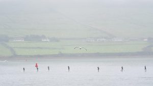Inflatable Paddle Boards: Ideal for All, From Beginners to Experts