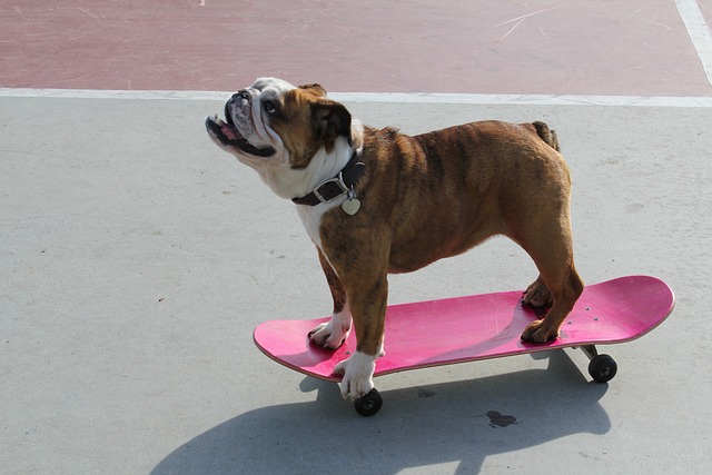 best skateboards