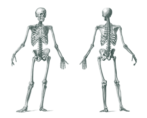 Unveiling Effective Body Sculpting Solutions: Comprehensive Guide to Shaped Results