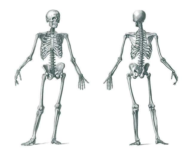 Body Sculpting Treatments