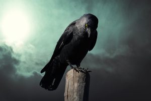 Botox for Crow’s Feet: Understanding, Treatment, Safety & Alternatives