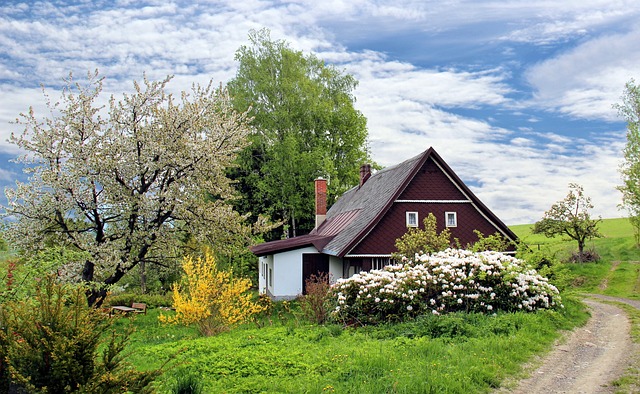 Bundling Auto and Home Insurance for Discounts