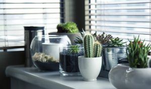 Maximize Savings: Understanding Bundled Car and Home Insurance Discounts