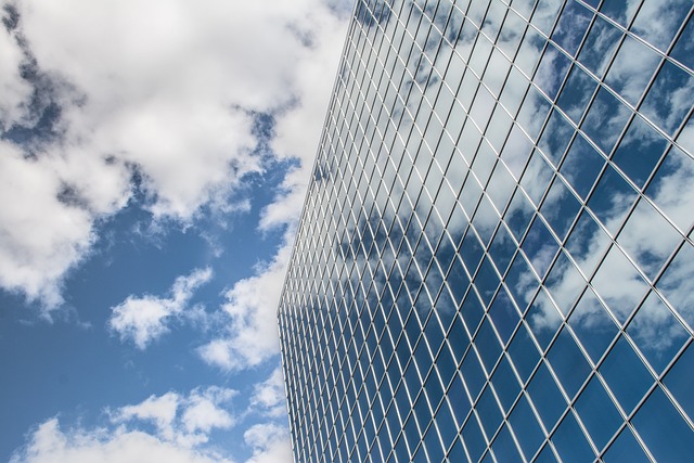 Business Insurance