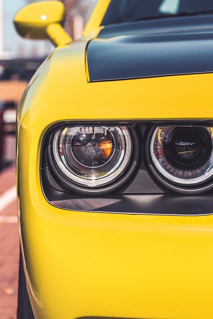 Car Insurance