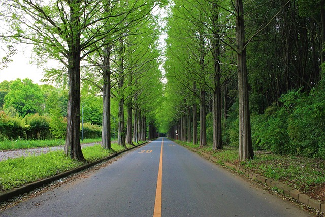 Car Insurance with Roadside Assistance