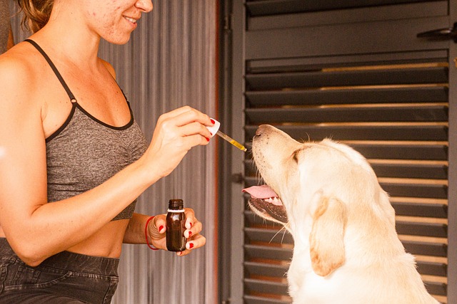 CBD Pain Relief Cream