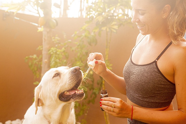 CBD Pain Relief Cream
