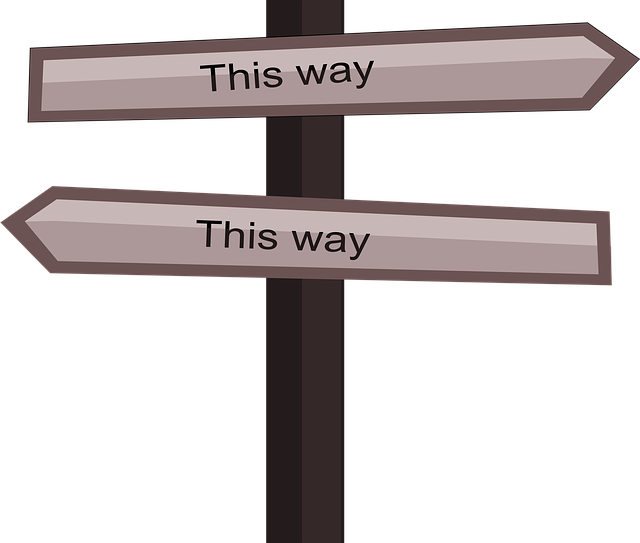 Choose an SEO Company