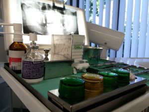Collagen Stimulation for Fine Lines: Comprehensive Strategies for Youthful Skin