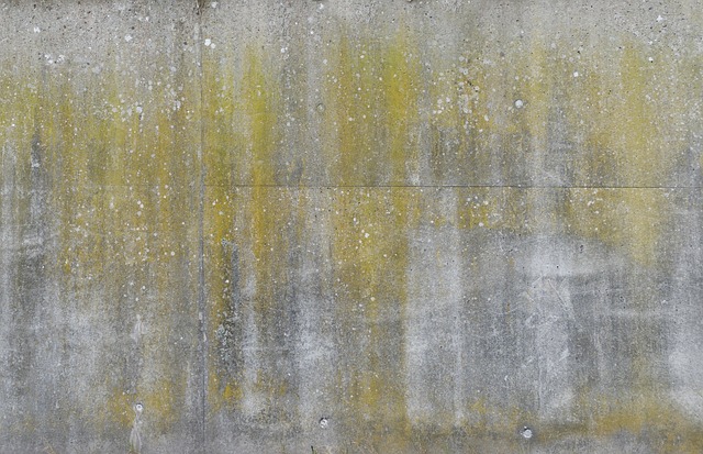 Concrete Foundation Solutions