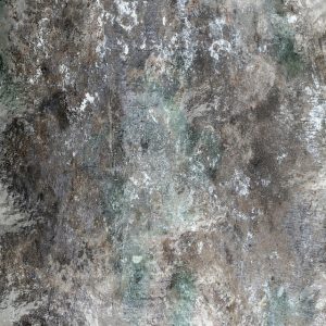 Concrete Foundation Solutions: Experts Ensure Structural Integrity with Reinforcement Techniques