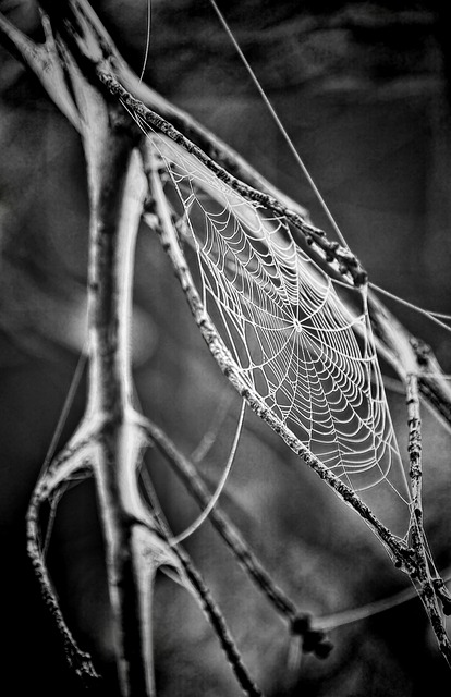 Core Web Vitals Optimization