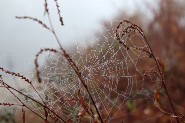 Core Web Vitals Optimization