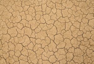 Concrete Crack Solutions: Assessment, Repair, and Prevention Guide