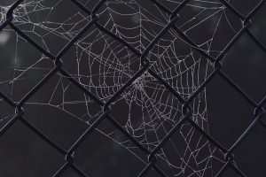 Unlocking Potential: Custom Web Design for Business Success