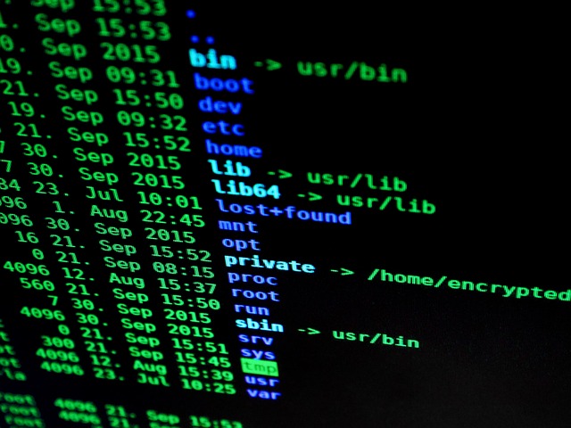 Cyber Insurance for Data Protection