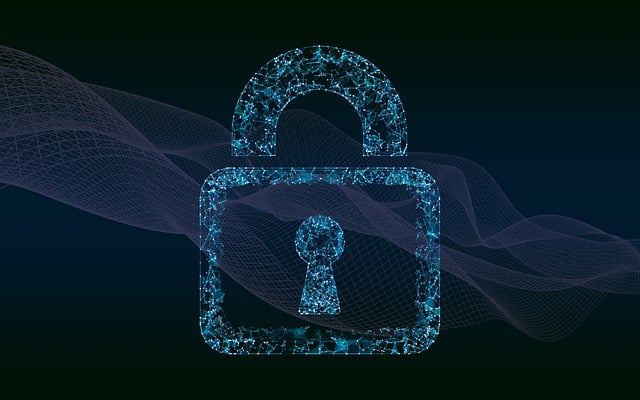 Cyber Insurance for Data Protection