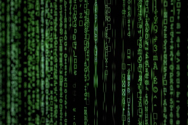 Cyber Insurance for Data Protection