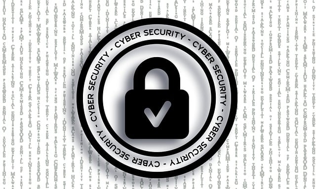 Cyber Insurance for Data Protection