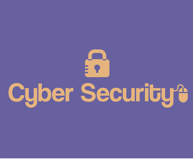 Cyber Insurance for Data Protection
