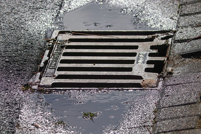 Drain Cleaning